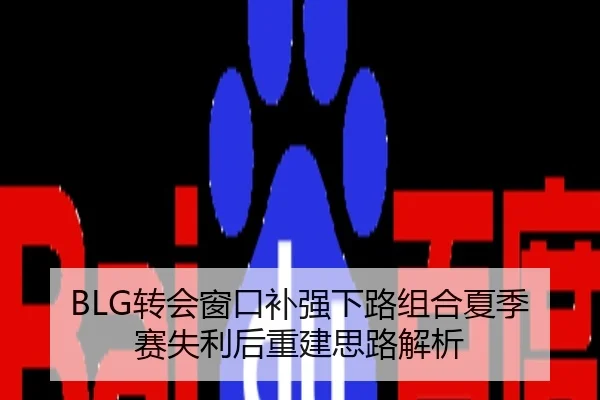 BLG转会窗口补强下路组合夏季赛失利后重建思路解析